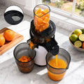 Devanti Cold Press Slow Juicer 130W Fruit Juice Extractor White