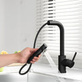 Cefito Kitchen Mixer Tap Pull Out 2 Mode Black WELS Swivel