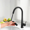 Cefito Kitchen Mixer Tap Pull Out Round Black 2 Mode WELS