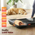 Everfit Walking Pad Treadmill 2 in 1 Foldable Under Desk for Home Gym With 38cm Belt With APP