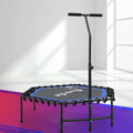 Everfit 48