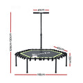 Everfit 48