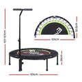 Everfit 40