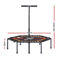 Everfit 51
