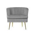 Artiss Velvet Armchair Grey Accent Chair Lounge Sofa Couch