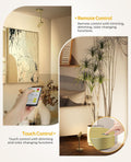 Picture Light for Wall, Battery Operated Art Light for Paintings CCT Dimmable Recharging Gallery Battery Wall Light with Remote Control for Living Room Gallery Dartboard Art Bathroom Gold
