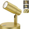 Spot Lights Indoor, Rechargeable Picture Light with Remote, Dimmable CCT Spotlight for Wall Art, 6000mAh Battery Uplights Indoor with Timer for Plant Artwork Painting Sofa Corner Light Gold