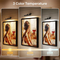 Picture Lights for Wall, Battery Operated Picture Light 16in Gallery Light for Paintings CCT Dimmable Recharging Battery Wall Light with Remote Control for Living Room Dartboard Art Black