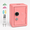 Lockable Metal Money Box, Cash & Coin Storage Box with Key Lock, Compact Piggy Bank for For Kids & Adults, Office & Small Valuables-coral pink