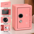 Lockable Metal Money Box, Cash & Coin Storage Box with Key Lock, Compact Piggy Bank for For Kids & Adults, Office & Small Valuables-coral pink
