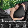 3 Piece Ultra Soft Bamboo Breathable Sheet Set -Hotel 2000TC Breathable Bed Sheets Set with 37 Centimetre Deep Pocket-Breathable Sheets for Hot Sleepers(Black,King Single)