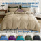 2 Piece Hotel Soft Microfiber Quilt Cover Set-2000TC Duvet/Donna Cover Set & Pillowcases -1 Quilt Cover Zipper Closure & 1 x Pillowcases-Breathable Bedding - Wrinkle, Fade, Stain Resistant(Camel Beige,King Single)