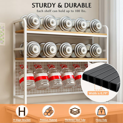 CARLA HOME  2-Tier Metal Desktop Hutch Bookshelf with Grid Panel for Computer Desk and Office Countertop