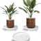 CARLA HOME 2-Pack Rolling Plant Stand with 360° Wheels for Indoor Pots (26 cm)