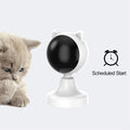 CARLA HOME Interactive Laser Toy for Cats with Adjustable Angle, USB Rechargeable & 2 Speed Modes