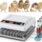 CARLA HOME 70 Egg Incubator with Automatic Turning, LED Display, Humidity & Temperature Control, Auto Water System & Built-in Egg Candler for Chicken, Duck, Quail, Goose