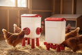 CARLA HOME Automatic Chicken Feeder Waterer Set with 8KG Food 7L Water Capacity for Coop, Chickens, Ducks, Quails (Red)