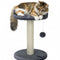 CARLA HOME Cat Tree Tower for Indoor Cats with Plush Perch, Sisal Scratching Post & Hanging Ball Toy for Kittens or Small Breeds