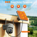 4G Solar Trail Camera in Black with 2.5K Resolution and Live Monitoring