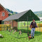 Heavy Duty Black Metal Walk-In Chicken Run Cage Coop with Cover, 276x602x300cm