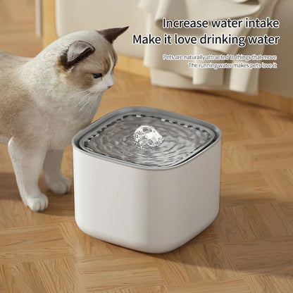 3L Cat Water Fountain Large Filter USB