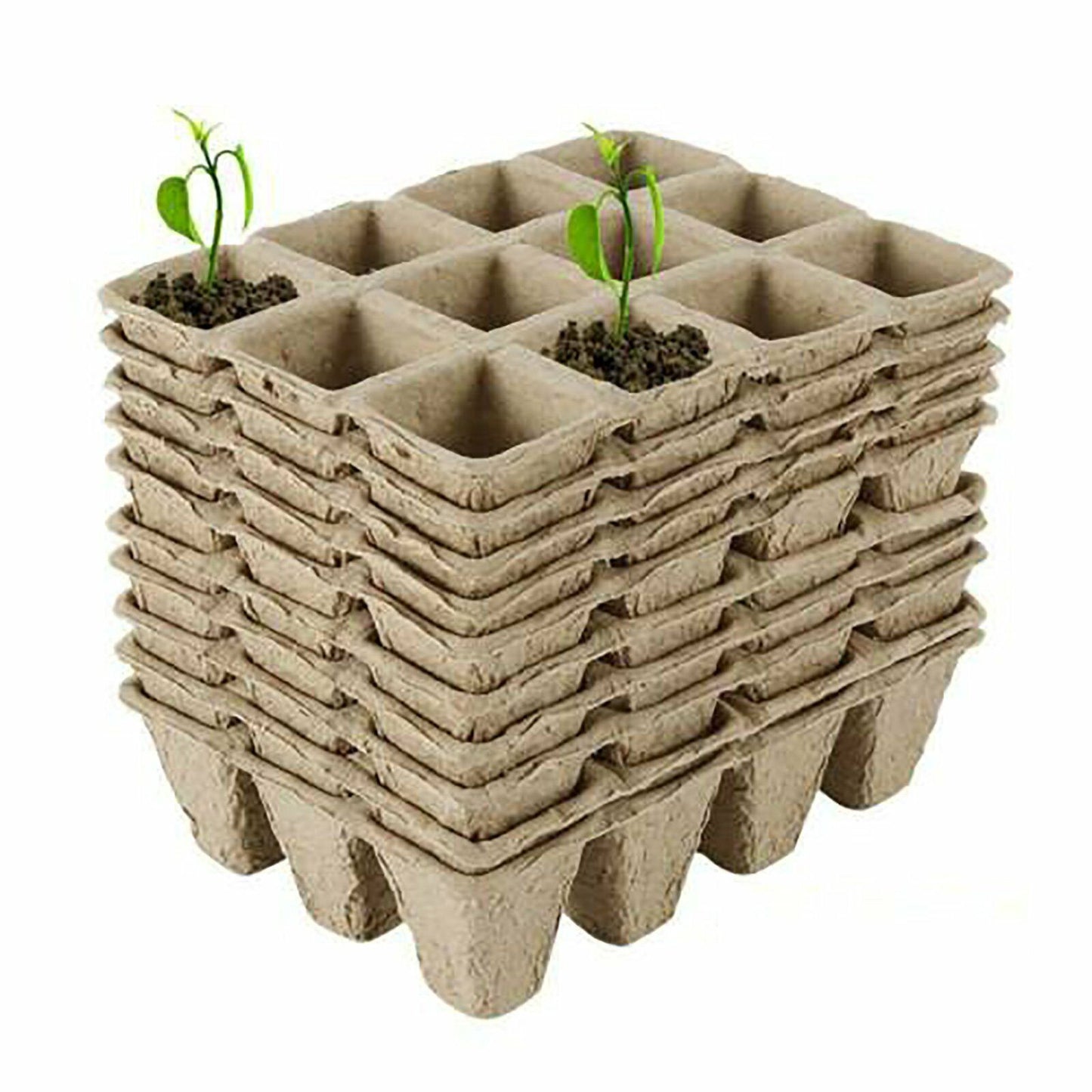 10pcs Biodegradable Seedling Trays 12-Hole Garden Starter