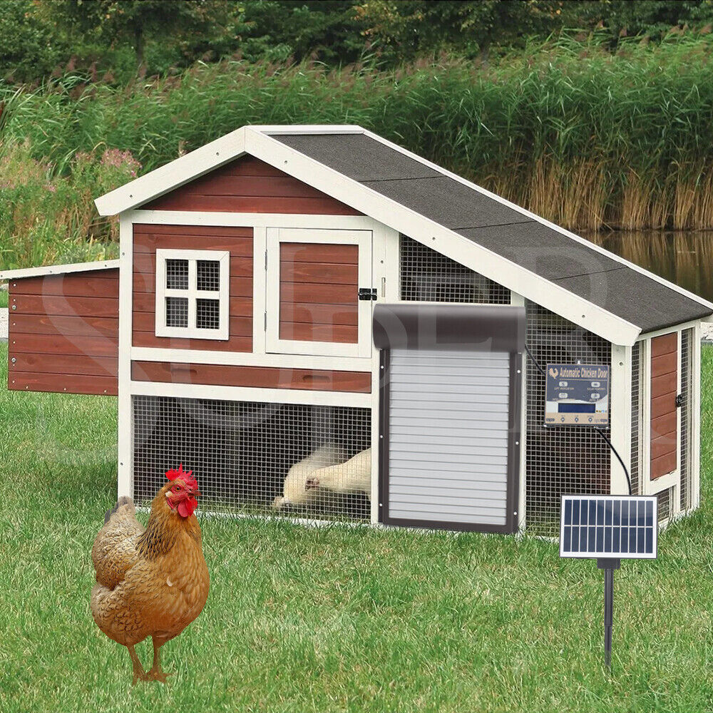 Automatic Chicken Coop Door Opener with Gate Light Sensor Remote