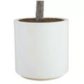 Artificial Olive Tree 2M