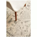 Evoke 261 White Rug 230 x 160cm for Modern Home Decor