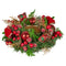 Christabelle 26cm Christmas Centrepiece Green Red Berries Candle