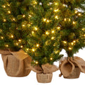 Christabelle 3x Pre-Lit Christmas Trees Green 60-90cm LED Lights