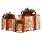 Christabelle Set Of 3 Christmas Gift Boxes With Lights - Champagne With Red Bows