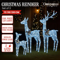 Christabelle Reindeer Display Set 3 LED Cool White Indoor Outdoor