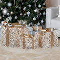 Christabelle 3x Battery Christmas Gift Boxes Warm White LED Lights