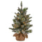 Christabelle 61cm Pre-Lit Snowy Spruce Christmas Tree LED Timer
