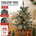 Christabelle 61cm Pre-Lit Snowy Spruce Christmas Tree LED Timer