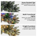 Christabelle 61cm Christmas Wreath Snowy Spruce Coloured LED
