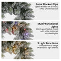 Christabelle 76cm Snowy Christmas Wreath LED Lights Stamford Spruce