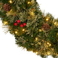 Christabelle 61cm Christmas Wreath LED Lights Berry Bristle