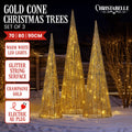 Christabelle 3pc Christmas Tree LED Lights Indoor Outdoor Yard Decoration