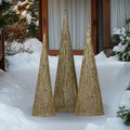 Christabelle 3pc Christmas Tree LED Lights Indoor Outdoor Yard Decoration