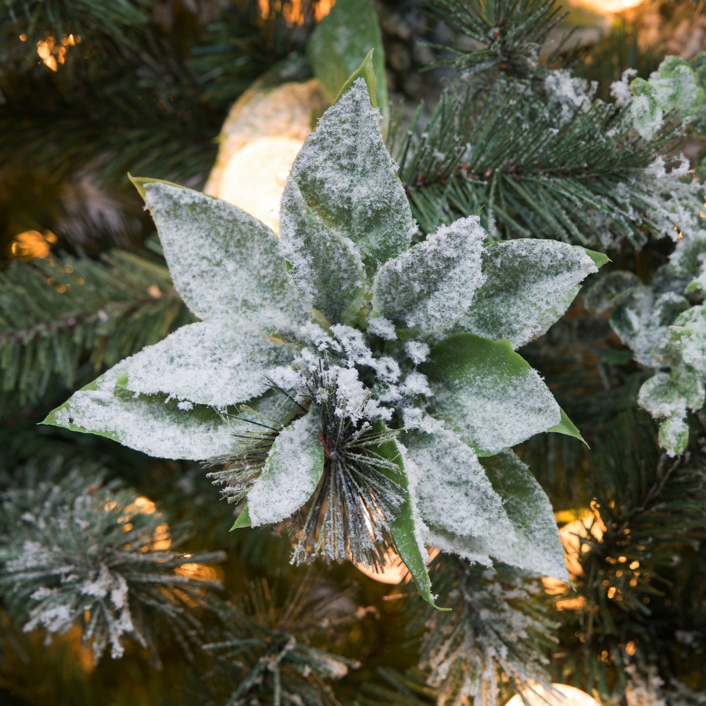 Christabelle Snowy Crown Pine 2.3m Multicolour Pre-Lit Christmas Tree with 1453 Tips