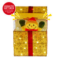 Christabelle Animated Snowman LED Christmas Decoration Gift Box