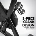 Powertrain Flywheel Exercise Spin Bike Black Home Gym