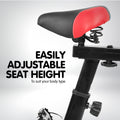 Powertrain Flywheel Exercise Spin Bike Black Home Gym