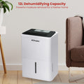 Dimplex 12L Dehumidifier Portable Black White