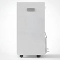 Dimplex 20L Portable Dehumidifier with Preset Modes Fan Speeds 4L Water Tank Timer