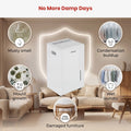 Dimplex 20L Portable Dehumidifier with Preset Modes Fan Speeds 4L Water Tank Timer