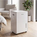 Dimplex 20L Portable Dehumidifier with Preset Modes Fan Speeds 4L Water Tank Timer