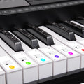 Karrera 61 Key Electronic LED Keyboard Piano Stand Black
